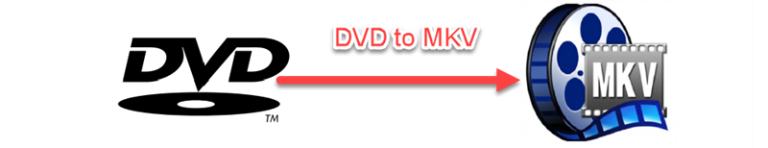 VideoByte DVD Ripper